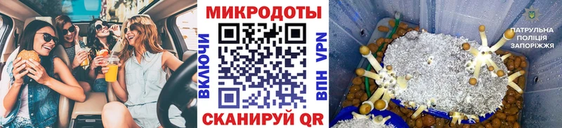 Галлюциногенные грибы Psilocybine cubensis  кракен как войти  Лобня 