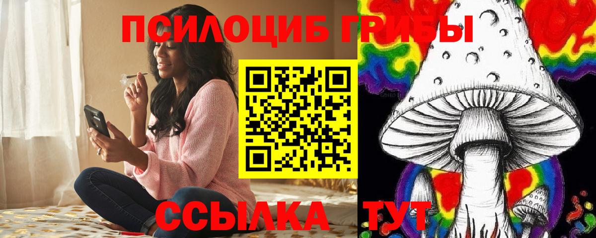 купить наркотики цена  Галлюциногенные грибы Psilocybine cubensis  Вход с VPN  Лобня 