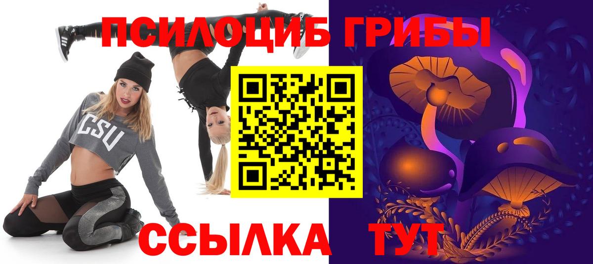 Галлюциногенные грибы Cubensis Лобня